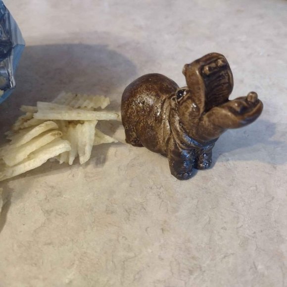 North American House Hippo - Picture 3 of 3